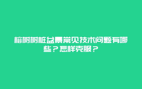 榕树树桩盆景常见技术问题有哪些？怎样克服？