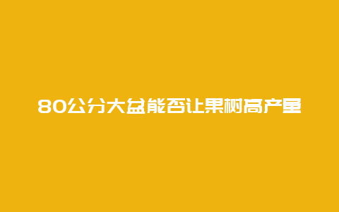 80公分大盆能否让果树高产量