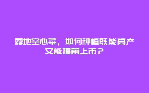 露地空心菜，如何种植既能高产又能提前上市？