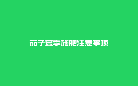 茄子夏季施肥注意事项