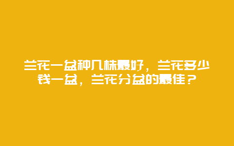 兰花一盆种几株最好，兰花多少钱一盆，兰花分盆的最佳？