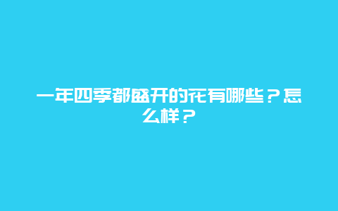 一年四季都盛开的花有哪些？怎么样？