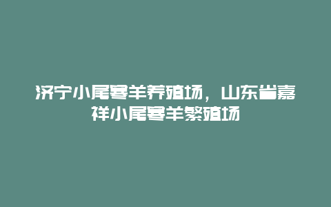 济宁小尾寒羊养殖场，山东省嘉祥小尾寒羊繁殖场