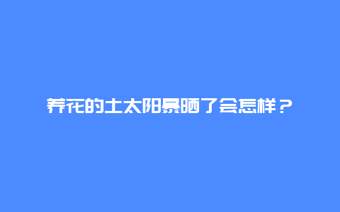 养花的土太阳暴晒了会怎样？