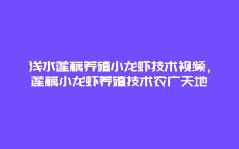 浅水莲藕养殖小龙虾技术视频，莲藕小龙虾养殖技术农广天地