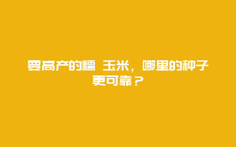 要高产的糯 玉米，哪里的种子更可靠？