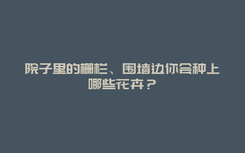 院子里的栅栏、围墙边你会种上哪些花卉？