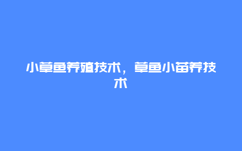 小草鱼养殖技术，草鱼小苗养技术