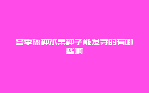 冬季播种水果种子能发芽的有哪些啊