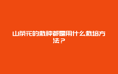 山茶花的栽种都是用什么栽培方法？