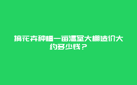 搞花卉种植一亩温室大棚造价大约多少钱？