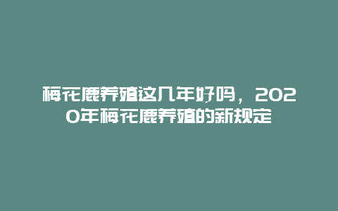 梅花鹿养殖这几年好吗，2020年梅花鹿养殖的新规定