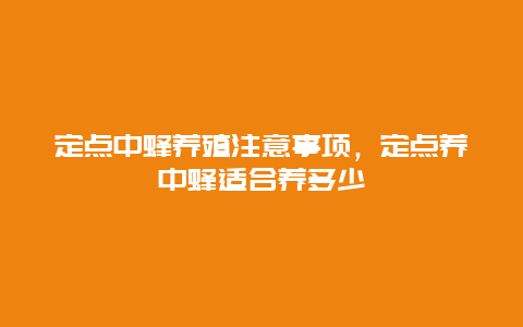 定点中蜂养殖注意事项，定点养中蜂适合养多少