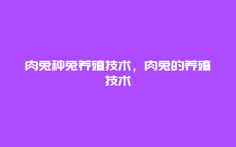 肉兔种兔养殖技术，肉兔的养殖技术