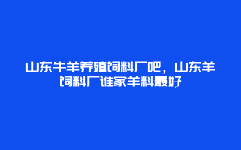 山东牛羊养殖饲料厂吧，山东羊饲料厂谁家羊料最好