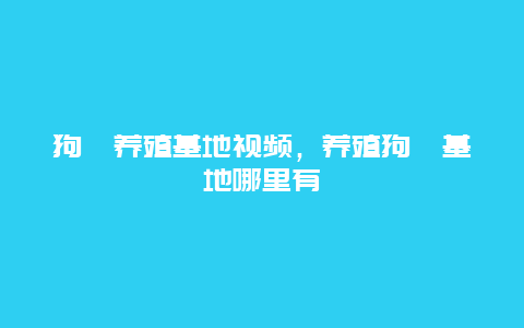 狗獾养殖基地视频，养殖狗獾基地哪里有