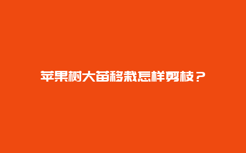 苹果树大苗移栽怎样剪枝？