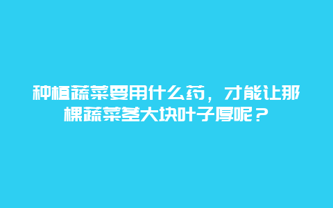 种植蔬菜要用什么药，才能让那棵蔬菜茎大块叶子厚呢？