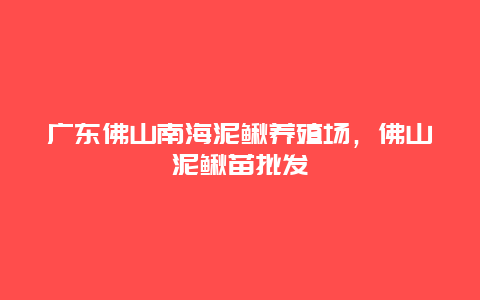 广东佛山南海泥鳅养殖场，佛山泥鳅苗批发