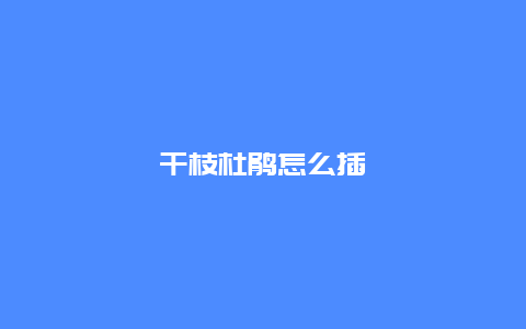 干枝杜鹃怎么插