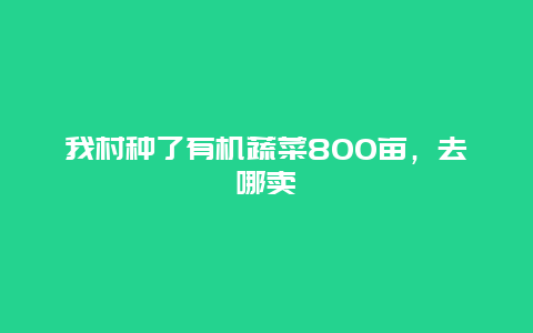 我村种了有机蔬菜800亩，去哪卖