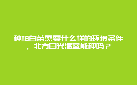 种植白茶需要什么样的环境条件，北方日光温室能种吗？