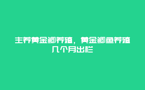 主养黄金鲫养殖，黄金鲫鱼养殖几个月出栏