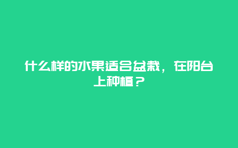 什么样的水果适合盆栽，在阳台上种植？