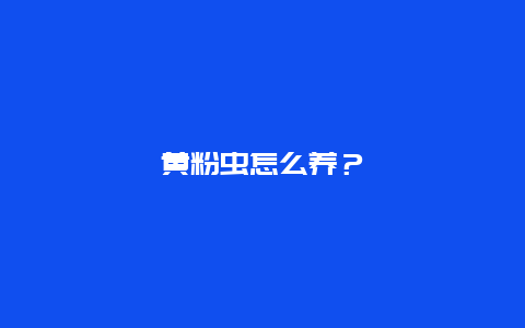 黄粉虫怎么养？