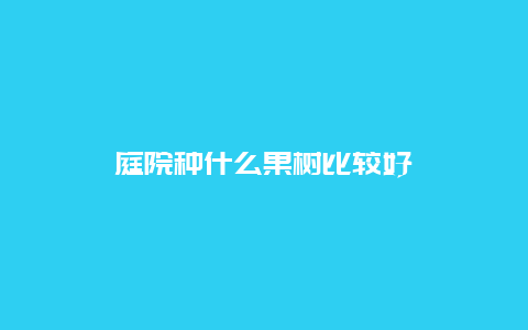 庭院种什么果树比较好