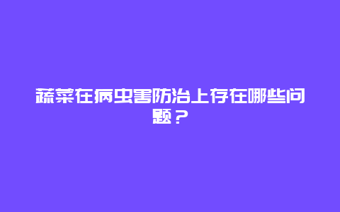 蔬菜在病虫害防治上存在哪些问题？