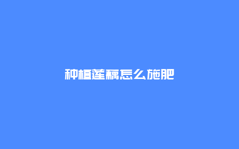 种植莲藕怎么施肥