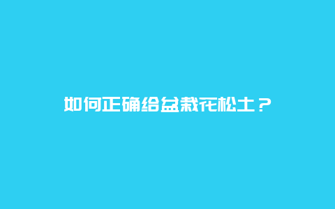 如何正确给盆栽花松土？