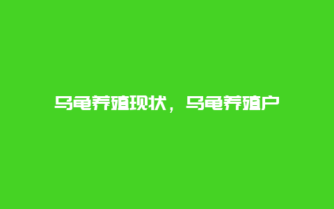 乌龟养殖现状，乌龟养殖户