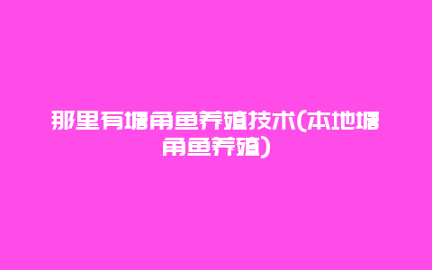 那里有塘角鱼养殖技术(本地塘角鱼养殖)