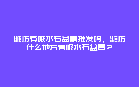 潍坊有吸水石盆景批发吗，潍坊什么地方有吸水石盆景？