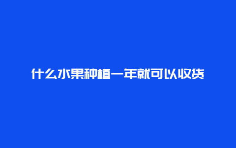 什么水果种植一年就可以收货