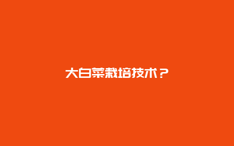 大白菜栽培技术？