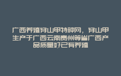 广西养殖穿山甲特种网，穿山甲生产于广西云南贵州等省广西产品质量好已有养殖