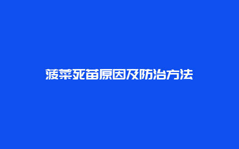 菠菜死苗原因及防治方法