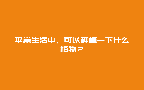 平常生活中，可以种植一下什么植物？