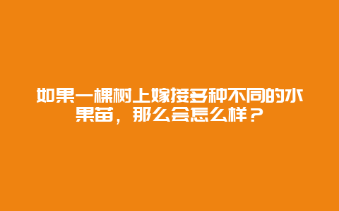 如果一棵树上嫁接多种不同的水果苗，那么会怎么样？