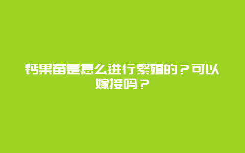 钙果苗是怎么进行繁殖的？可以嫁接吗？