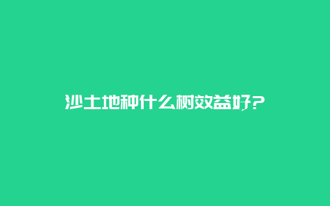 沙土地种什么树效益好?