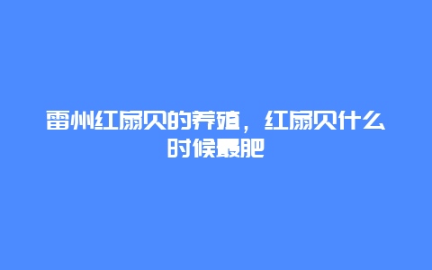 雷州红扇贝的养殖，红扇贝什么时候最肥