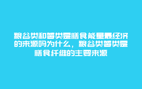 粮谷类和薯类是膳食能量最经济的来源吗为什么，粮谷类薯类是膳食纤维的主要来源