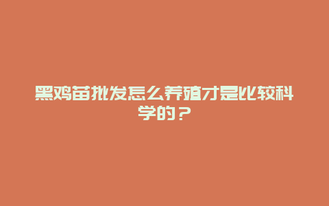 黑鸡苗批发怎么养殖才是比较科学的？