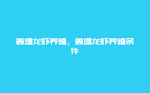 姜堰龙虾养殖，姜堰龙虾养殖条件