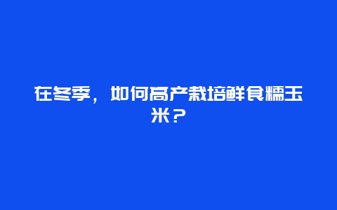 在冬季，如何高产栽培鲜食糯玉米？