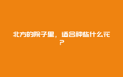 北方的院子里，适合种些什么花？